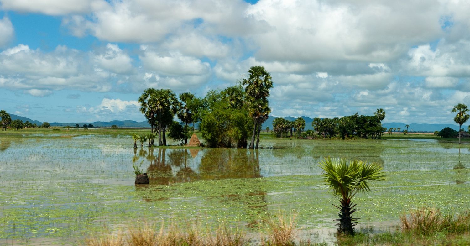Amazing Cambodia Tourism News 2026: 7 Exciting Travel Updates